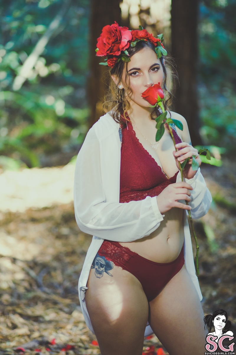 pixen-rosesandanemones-01.jpg