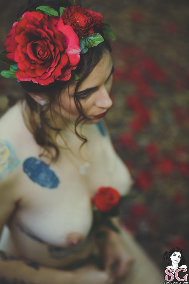pixen-rosesandanemones-39.jpg