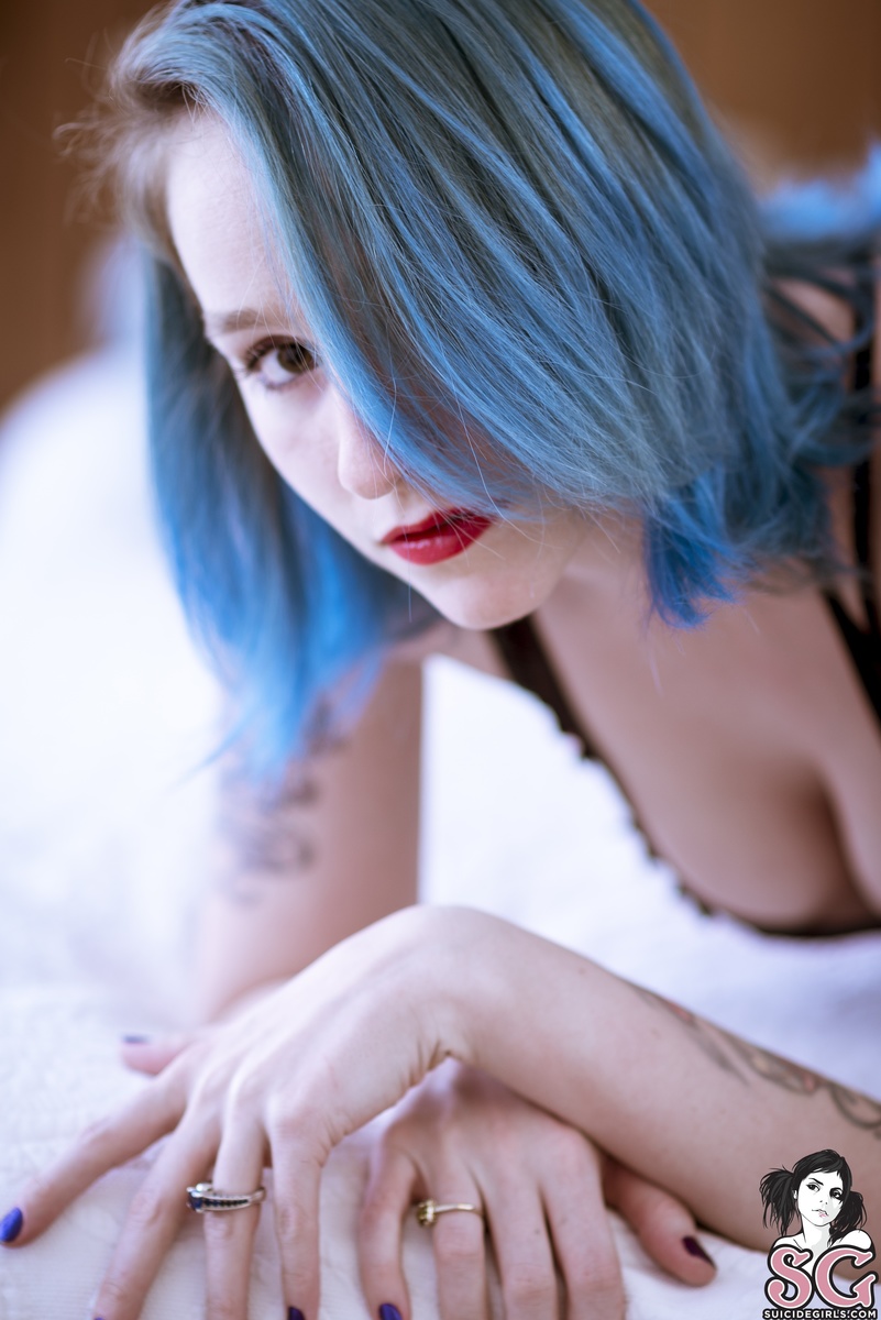 epyk-wallflower-07.jpg