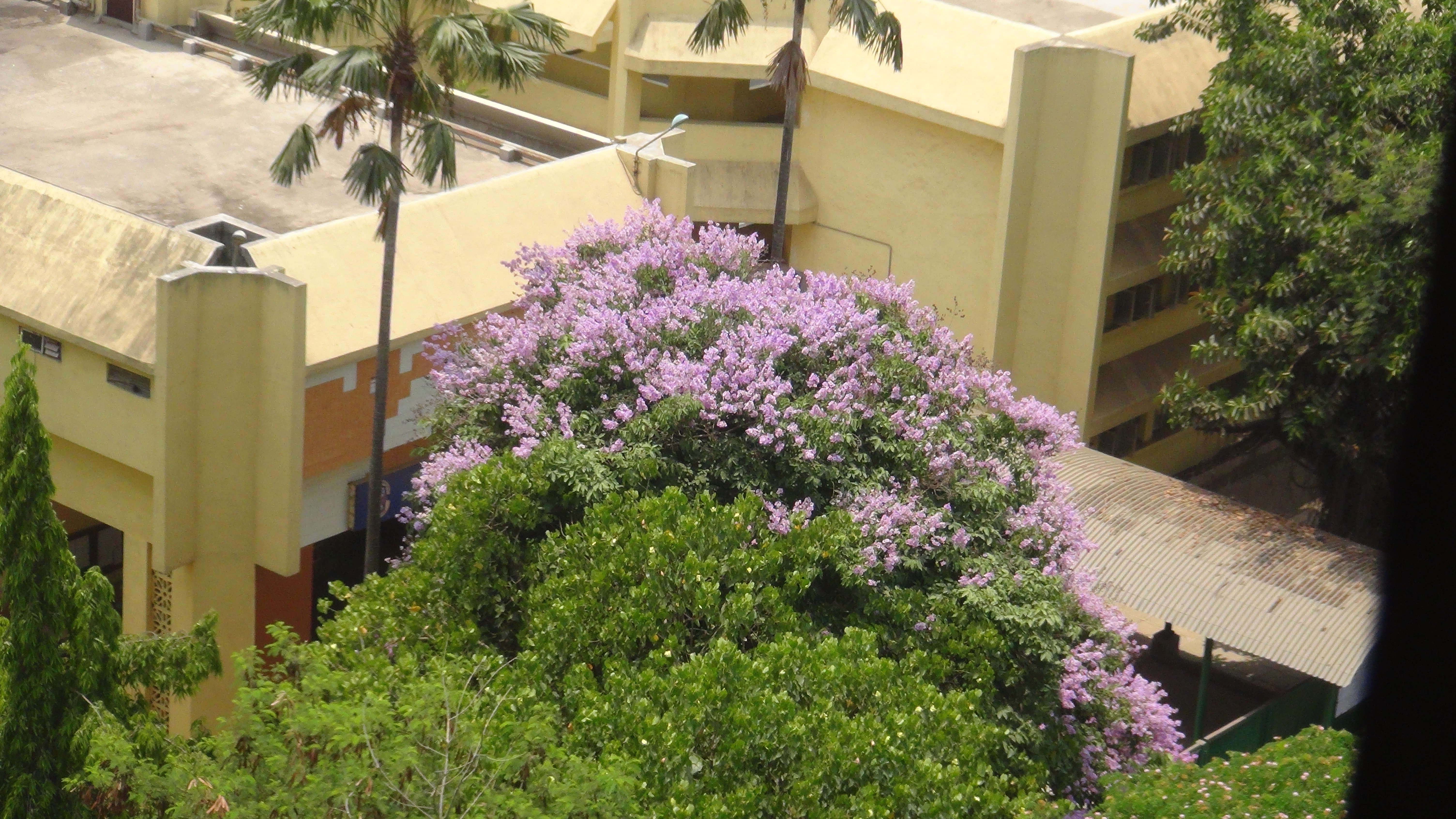 DSC02916.JPG