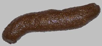 Koomikko Iikka Kivi