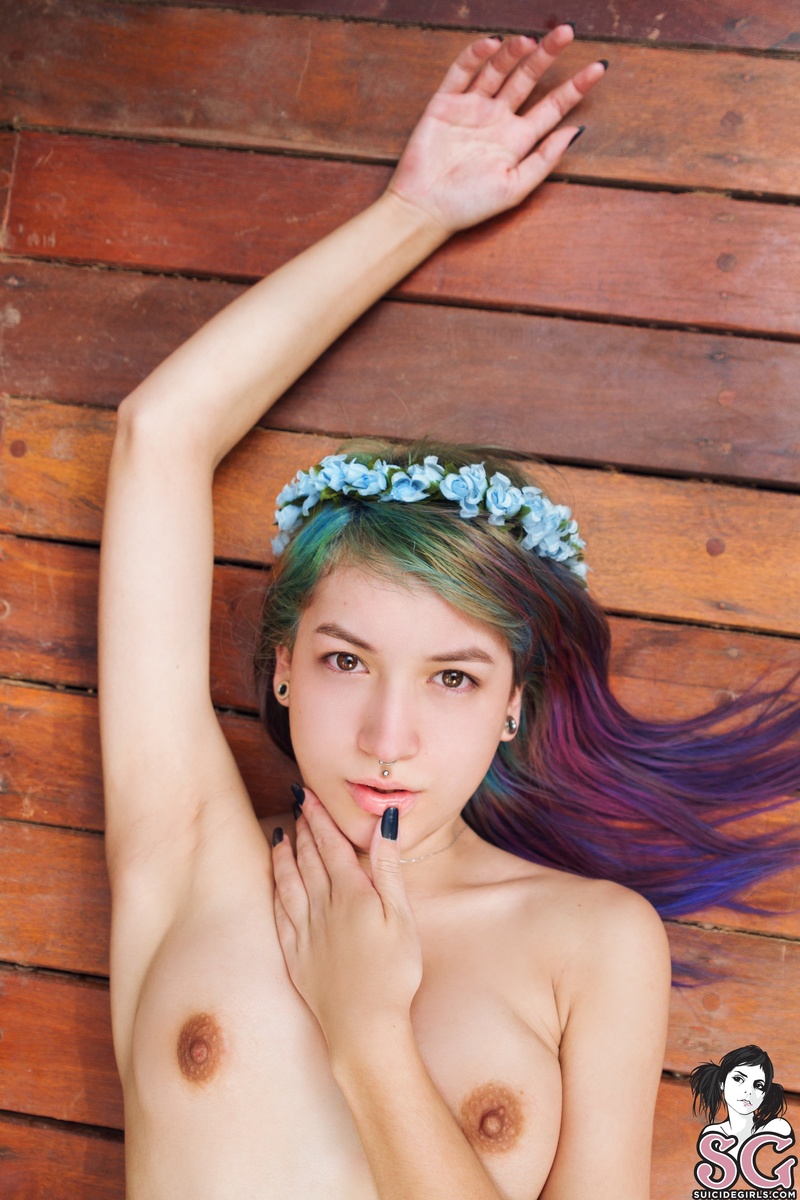 wingsweak-springflower-25.jpg