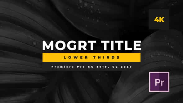 26363874-minimal-mogrt.jpg