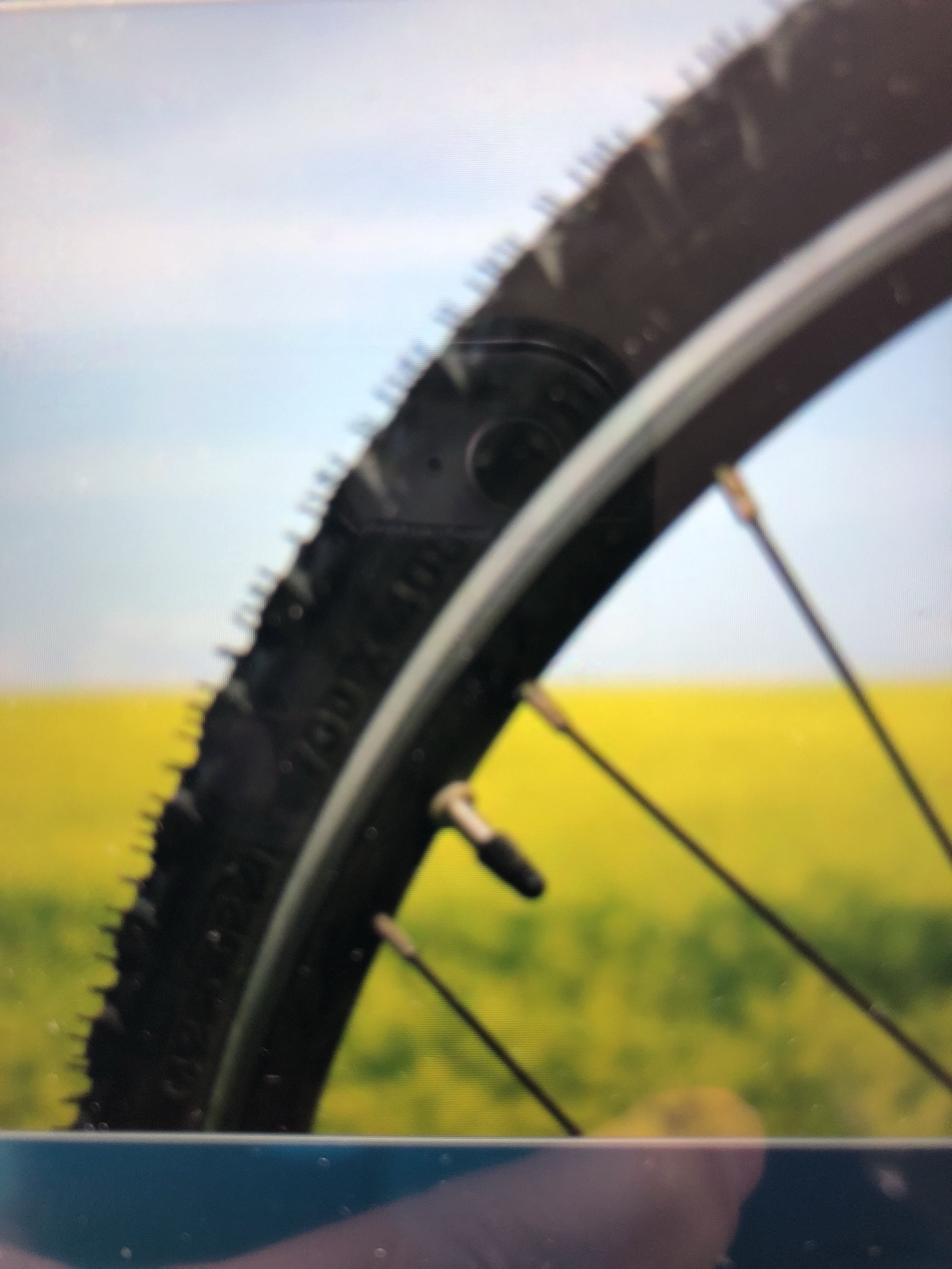 file.jpg