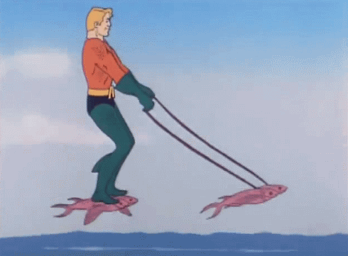 WTF2.gif