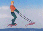 WTF2.gif