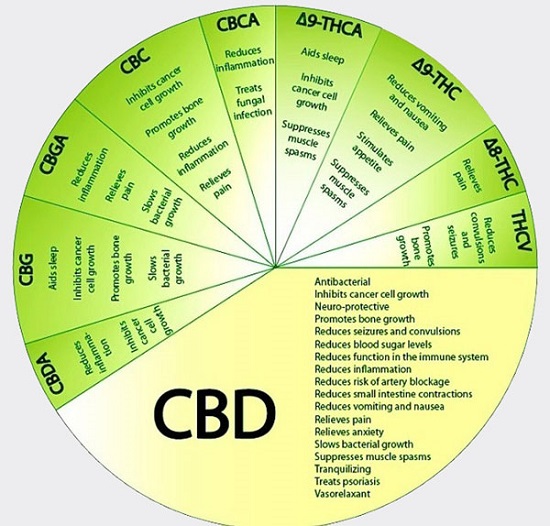 CBDease Products Inc. Offers CBD Balm for Sale