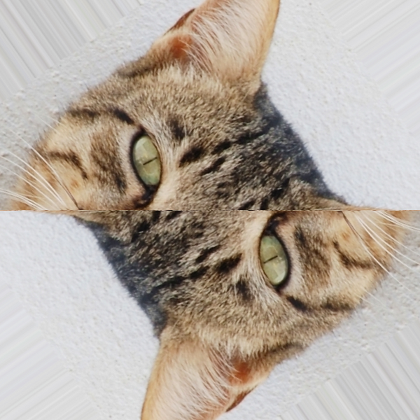 hello.png