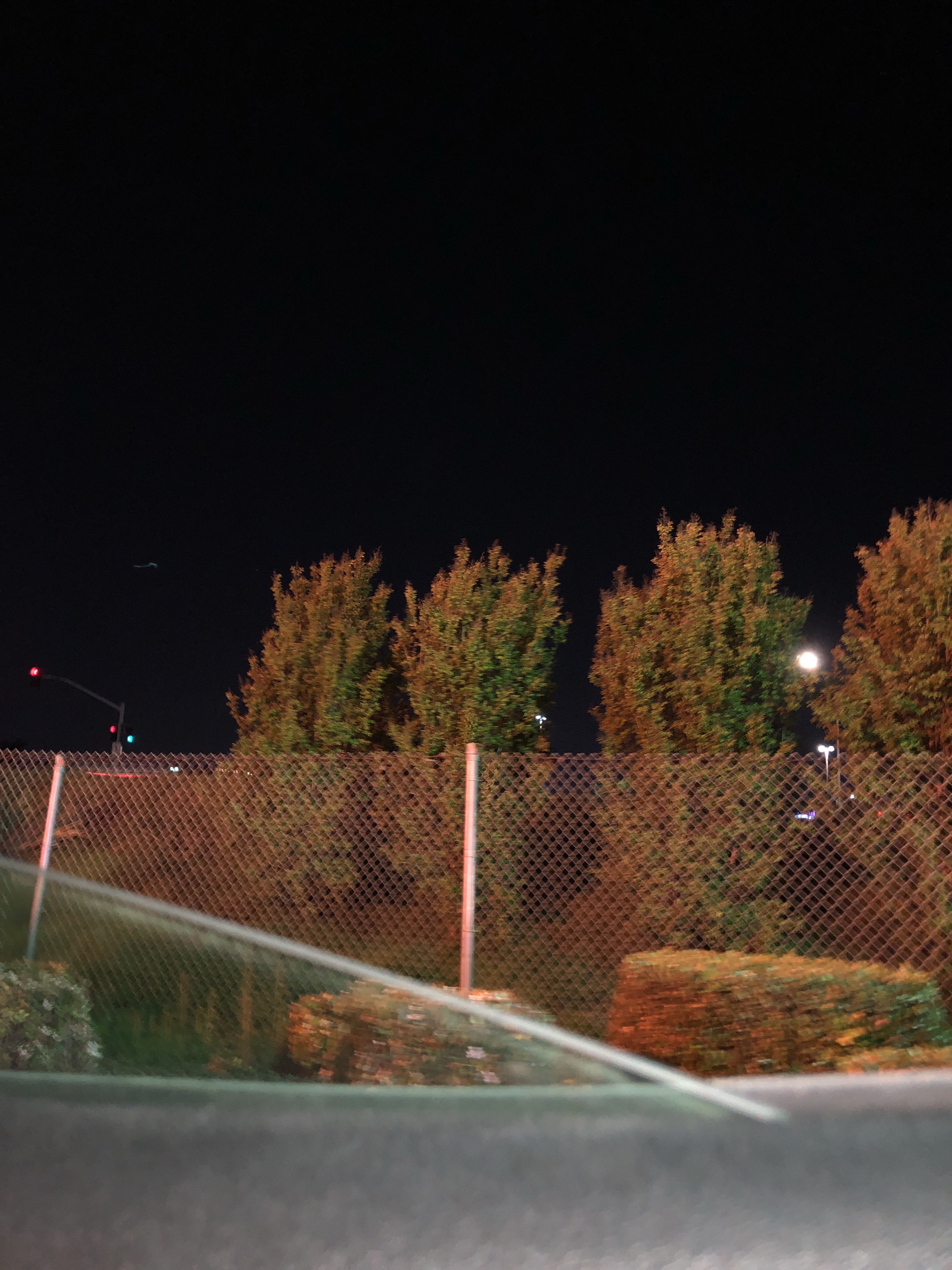 file.jpg