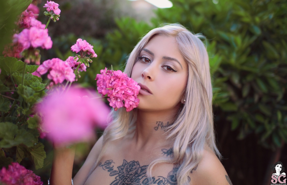 queendrachen-passionfruit-31.jpg