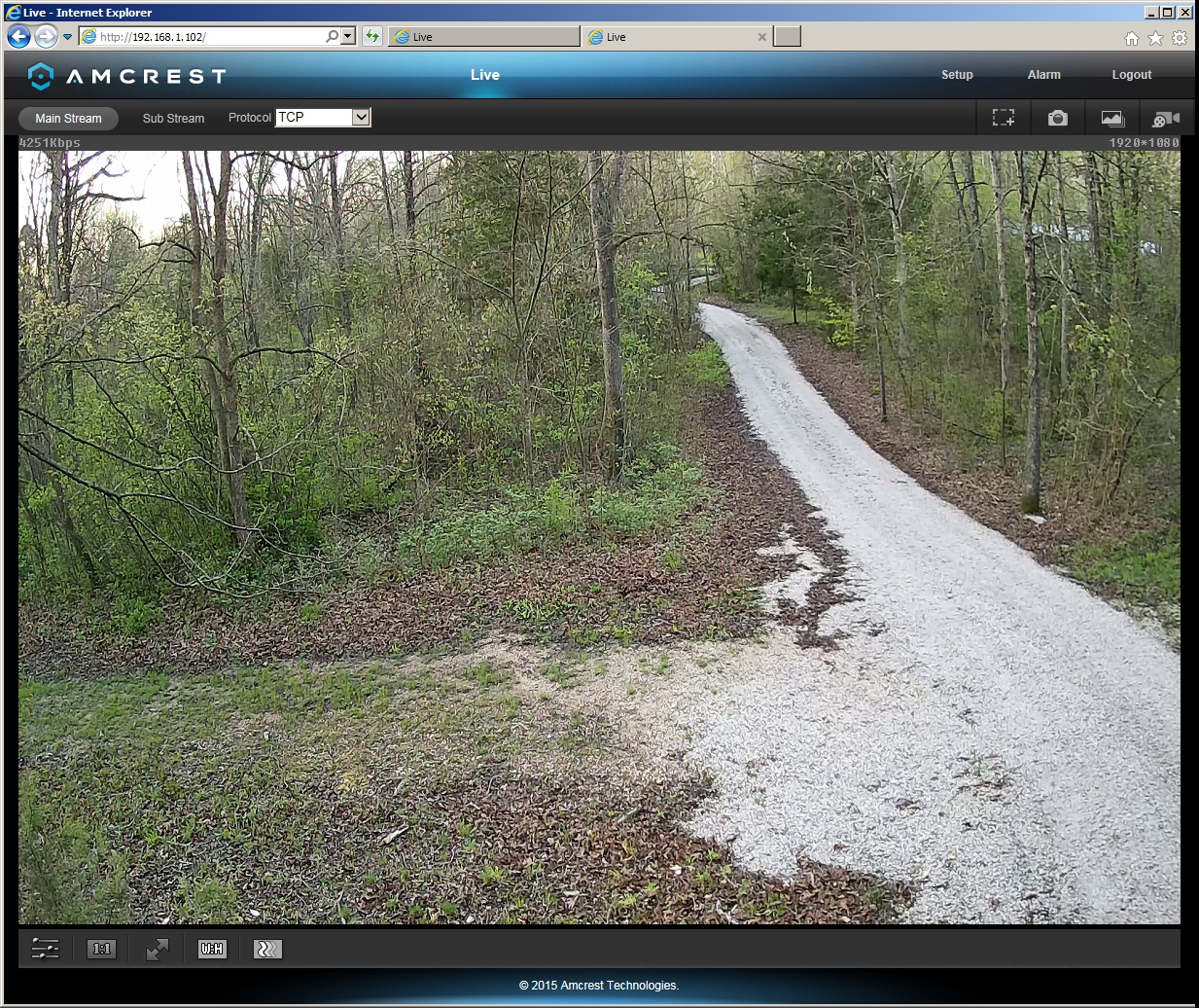 driveway-cam-01.jpg
