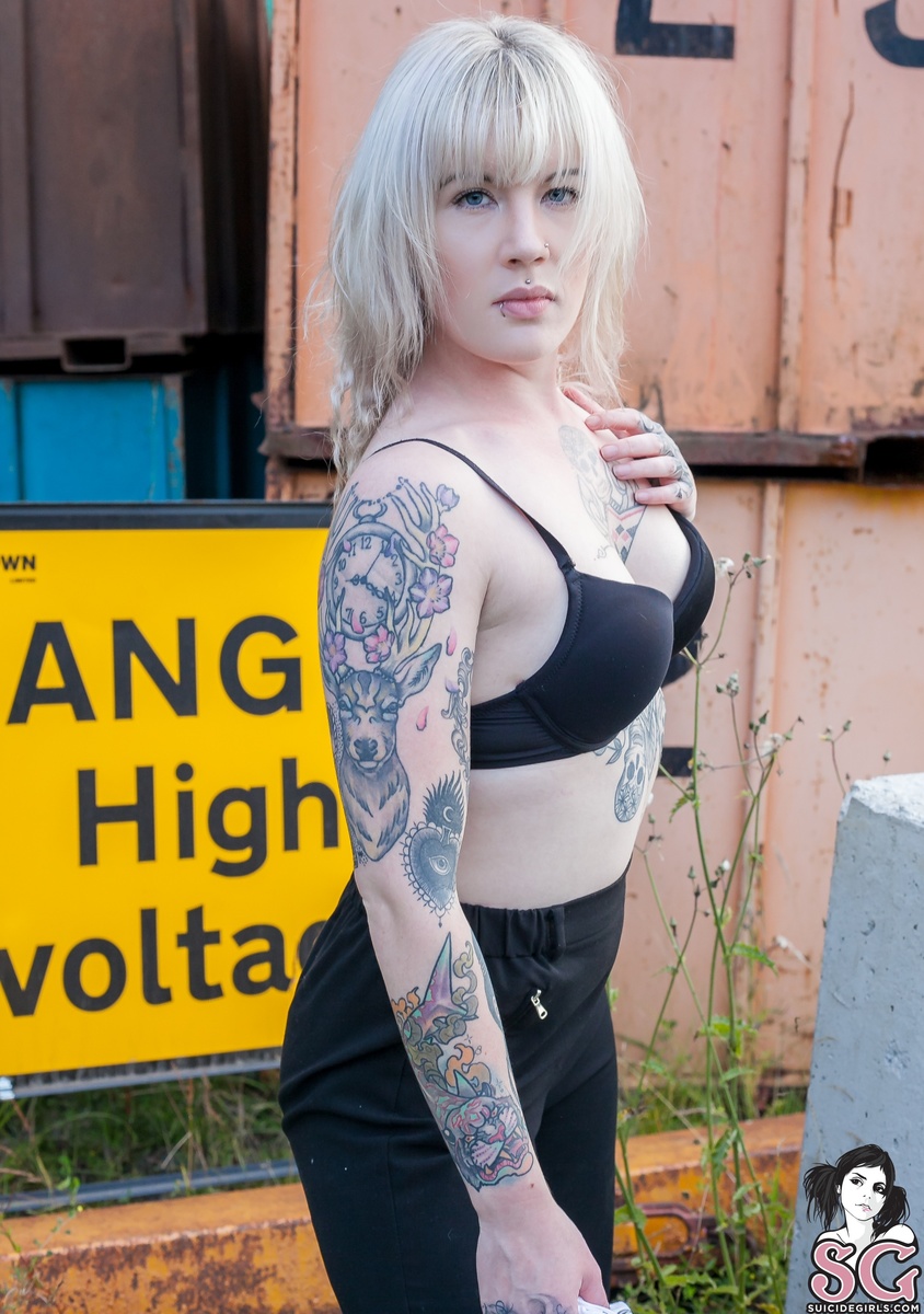 seditious-chasingthelight-05.jpg