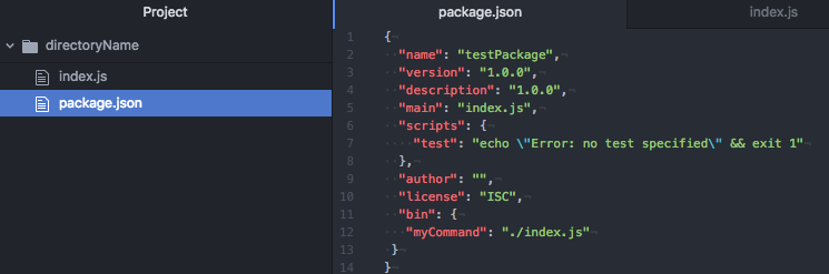 package.json