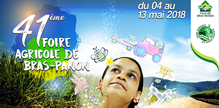 Foire de Bras Panon