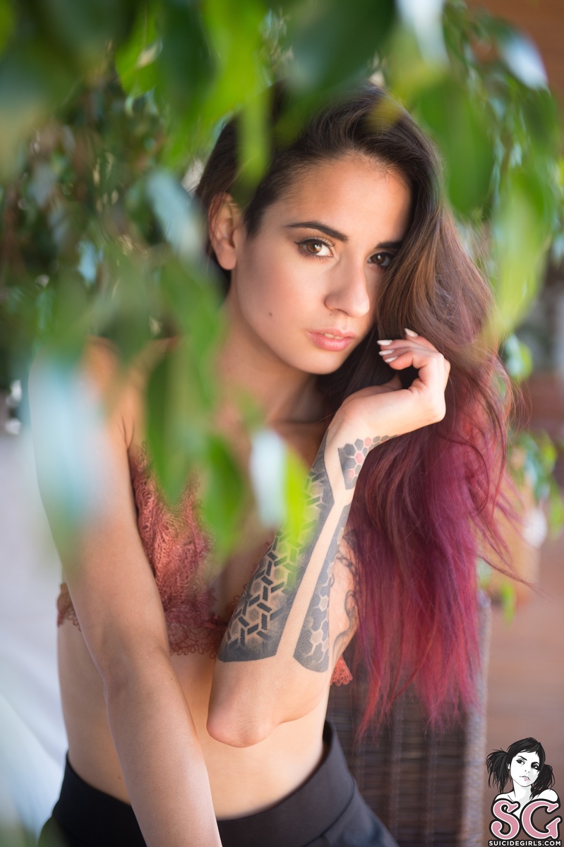 smoky-junglecity-05.jpg