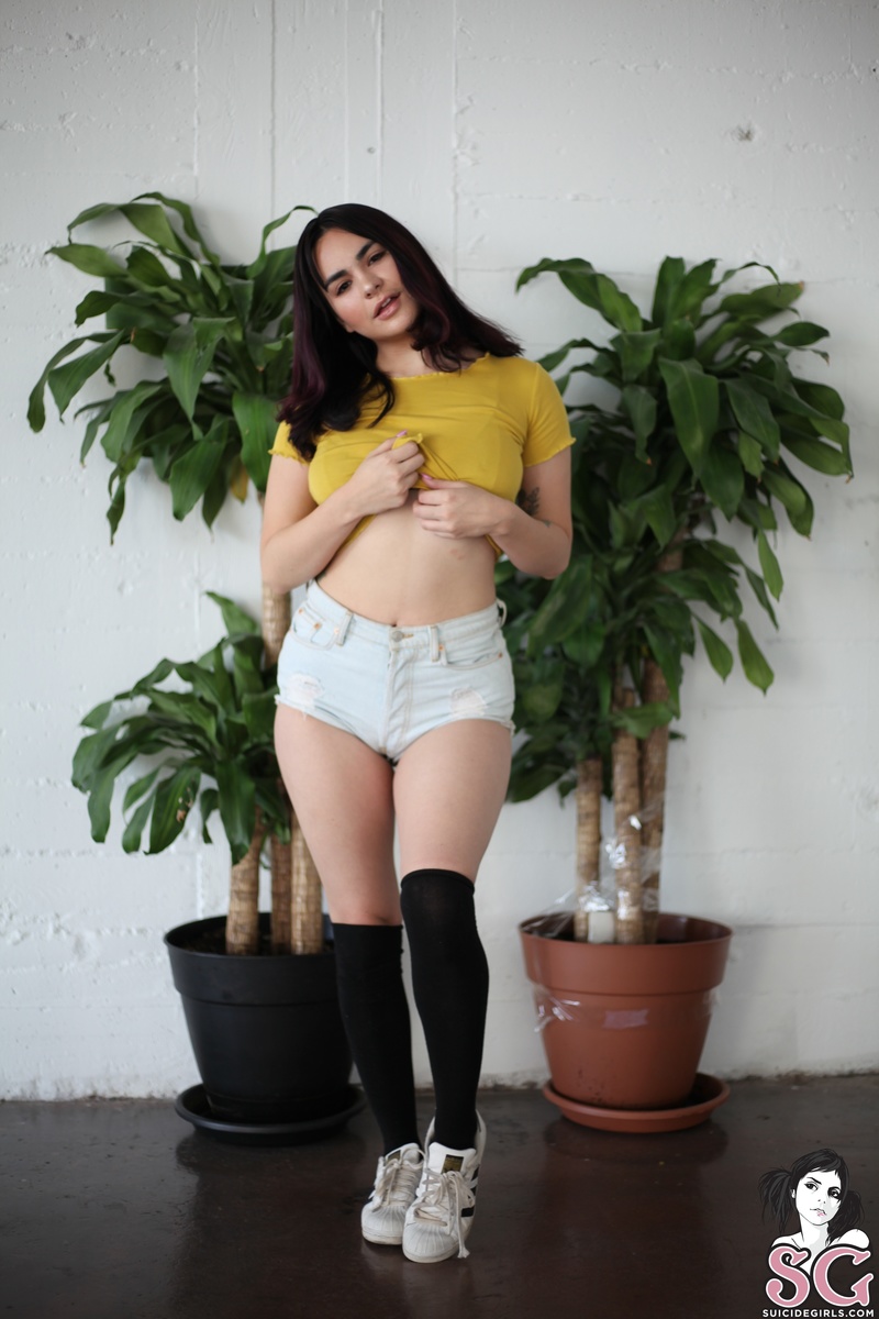 safeasmilk666-daisy-01.jpg