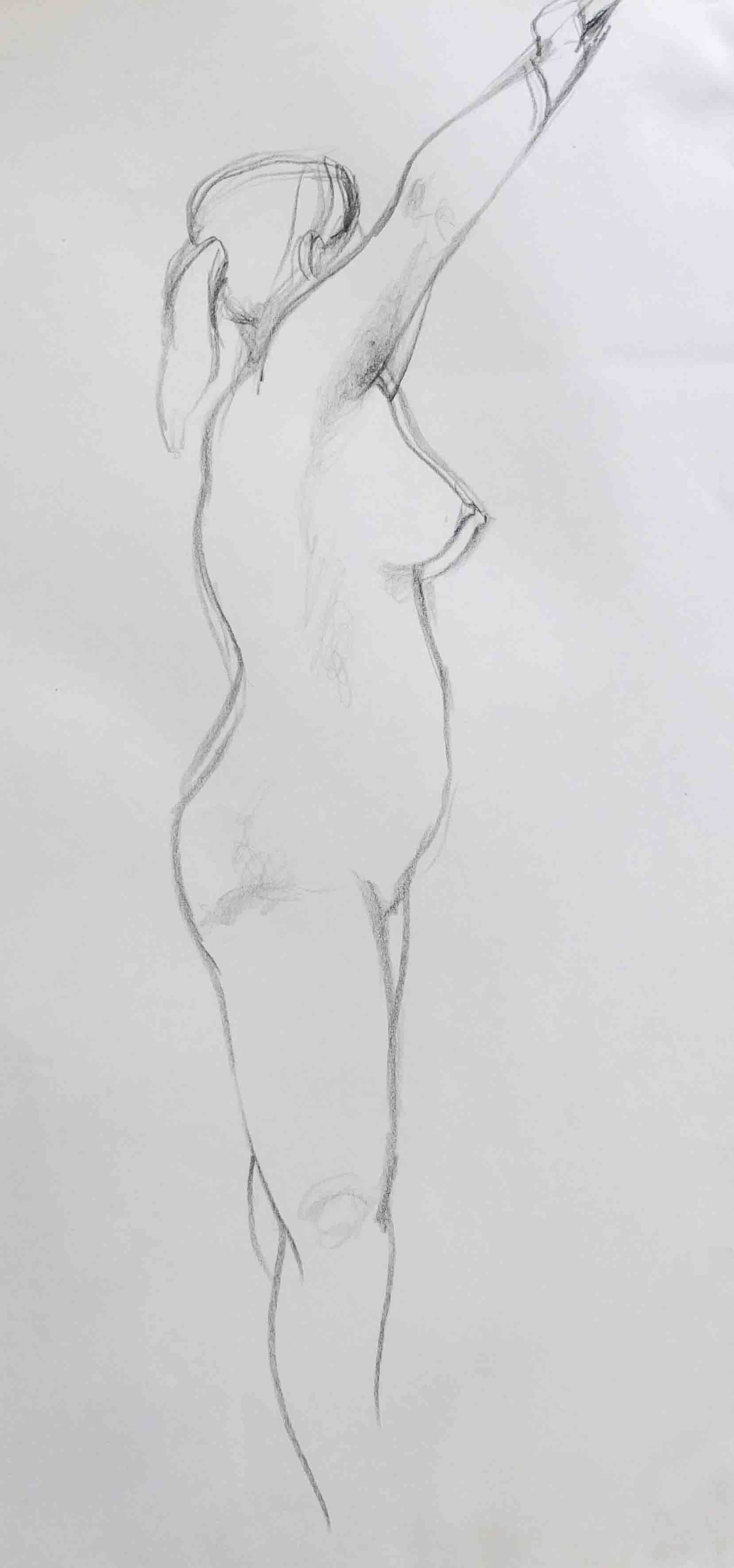 Life Drawings