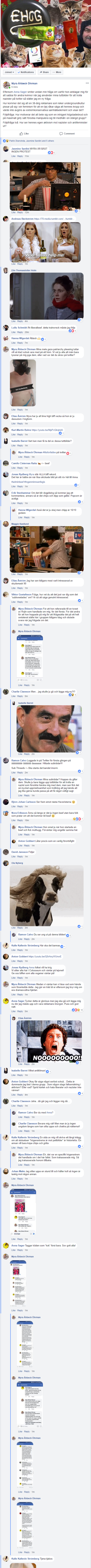 echg beef
