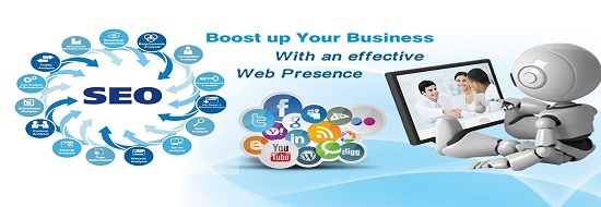 Top SEO Company in New Zealand