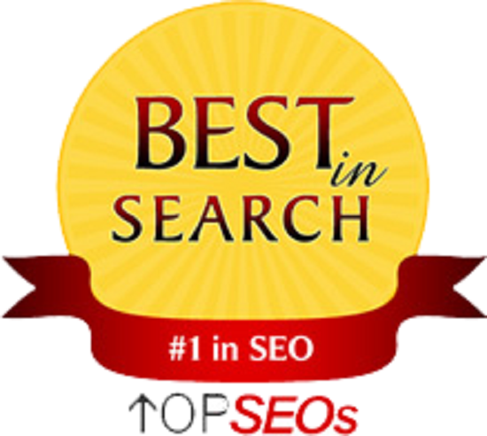 Contact SERP WIZARD for Cheap SEO Services in India
