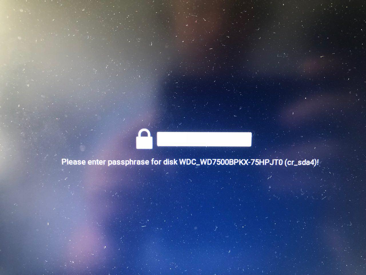 please enter passphrase for disk (german layout)