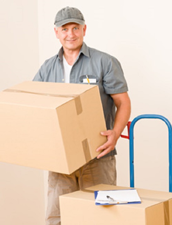 Searching for Best Moving Boxes in Toronto