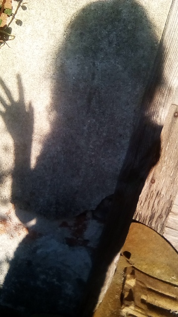 tmp-cam-1855031155.jpg
