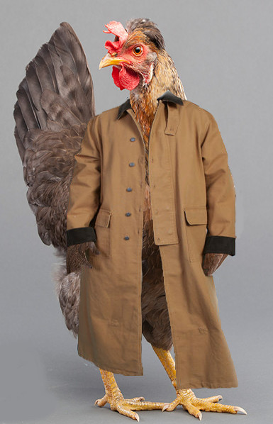 Fowl er
