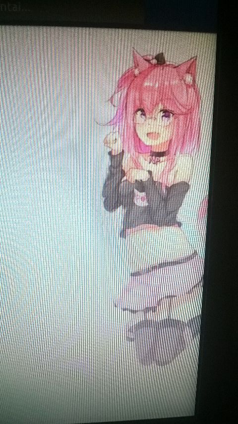 RIS.jpg