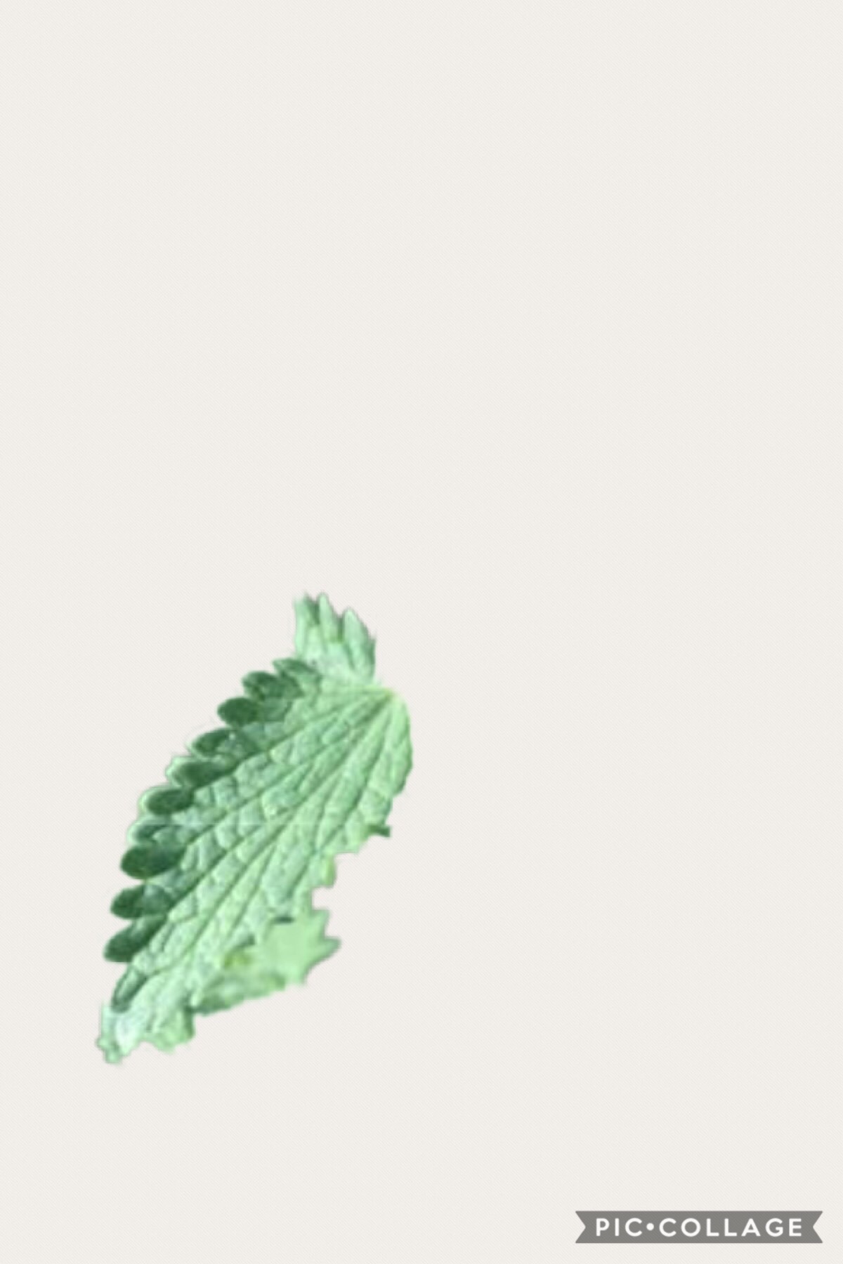 file.jpg