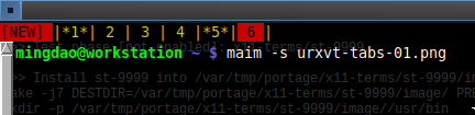 urxvt-tabs-01.png