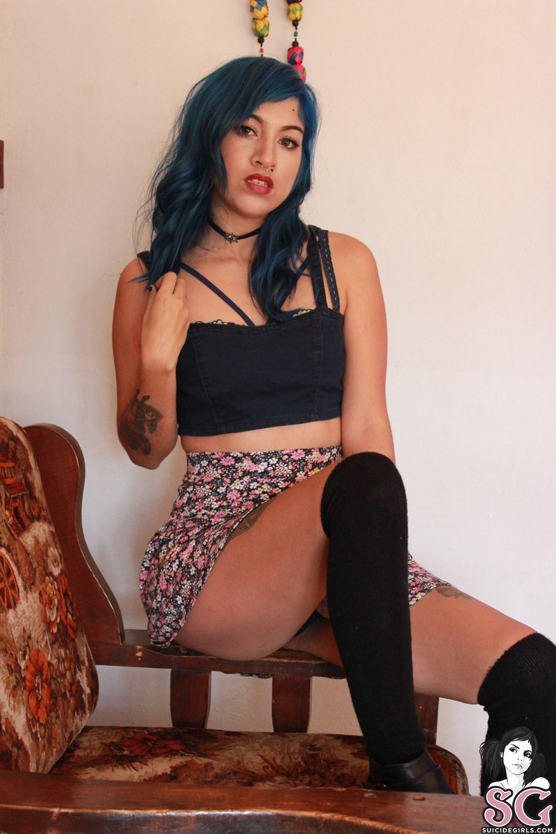 amerikat-themulticoloredcorner-05.jpg