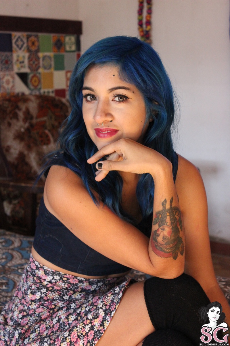 amerikat-themulticoloredcorner-07.jpg