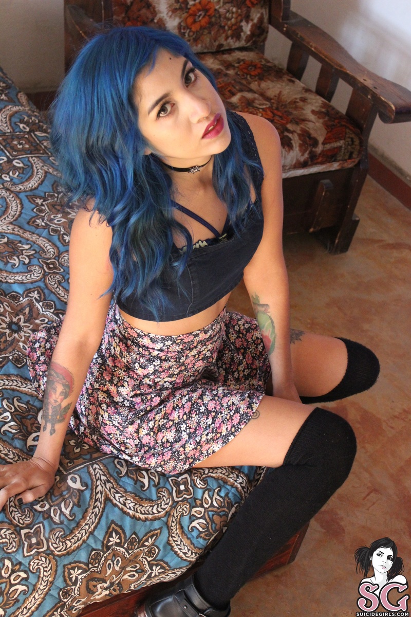 amerikat-themulticoloredcorner-09.jpg