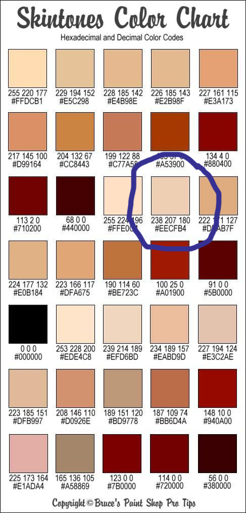 SkinToneChart