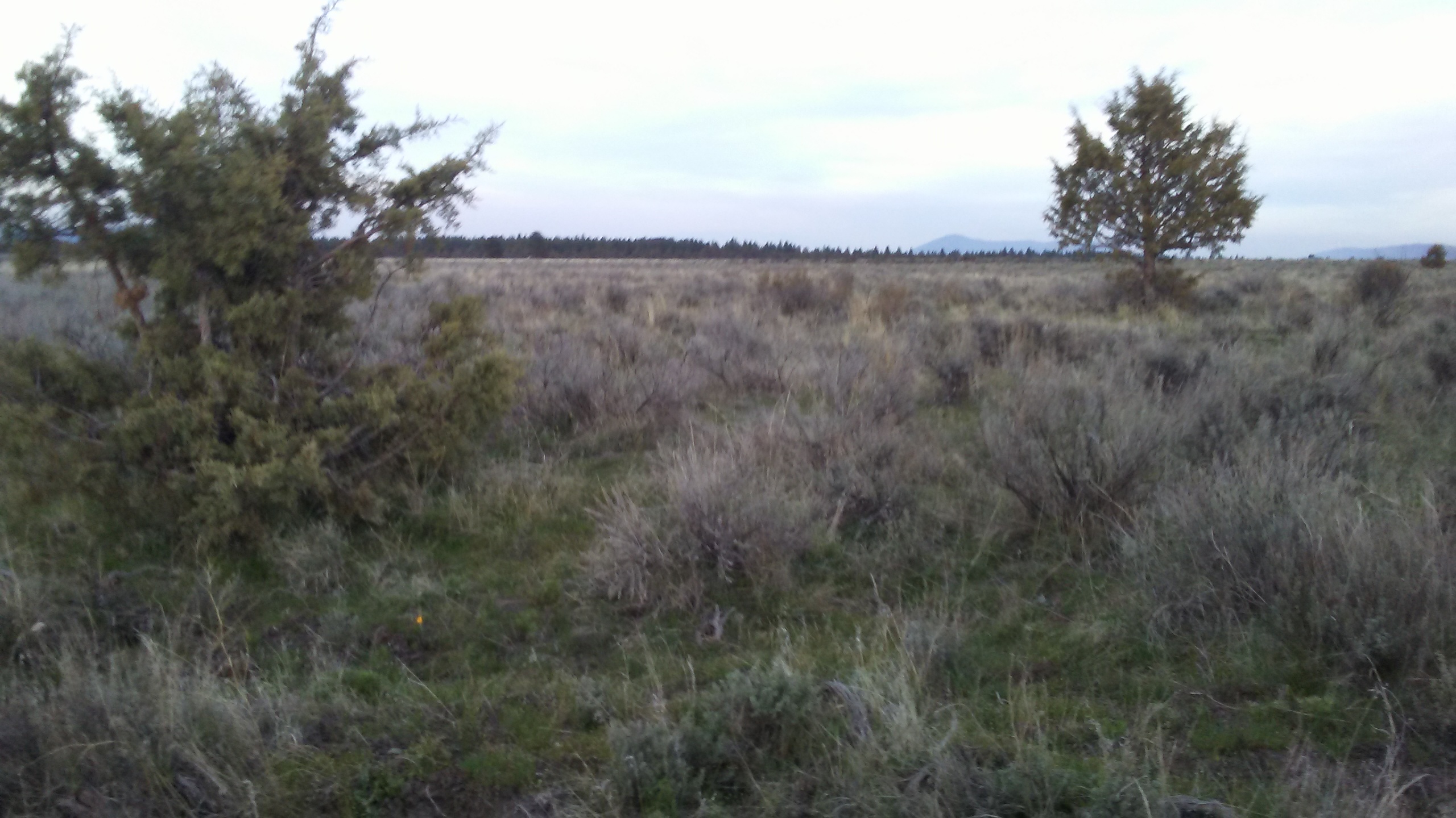 20180424_191408.jpg