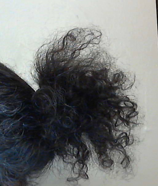 Hair 2018-06-03