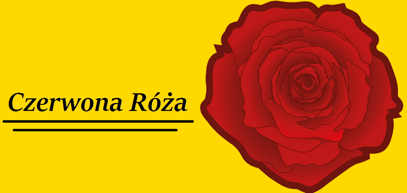 611px-Red_rose_02.svg.png