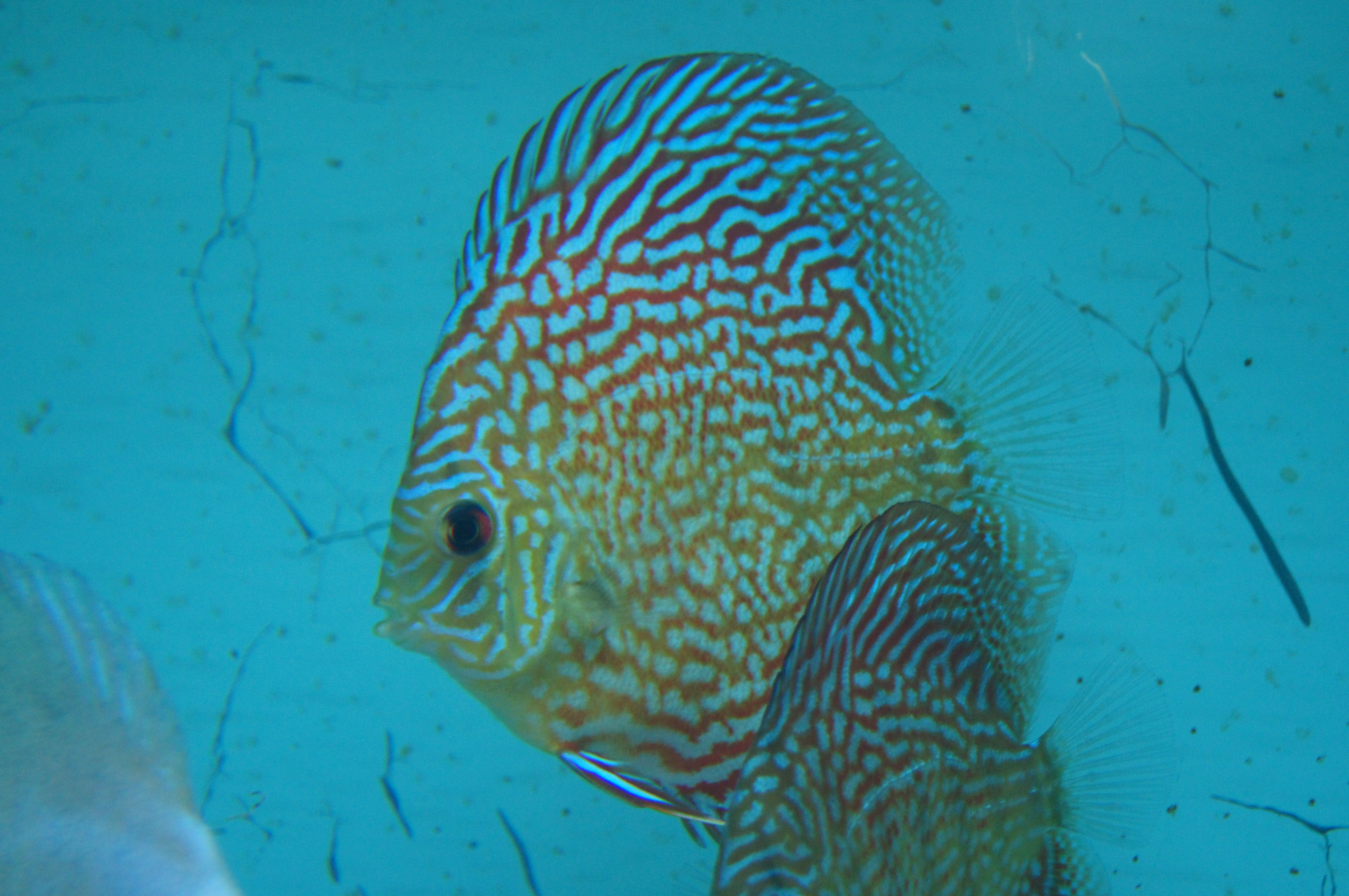 DSC01164.JPG