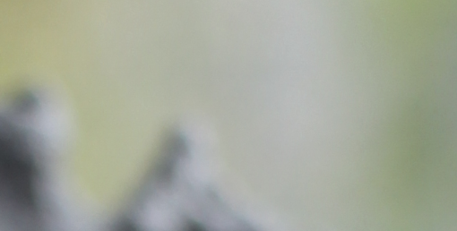 Screenshotfrom2018-06-06213024.png