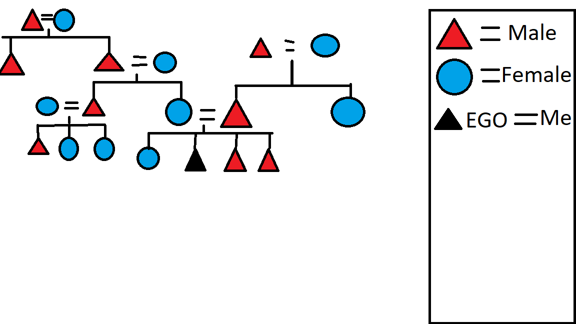 kinshipdiagram.png