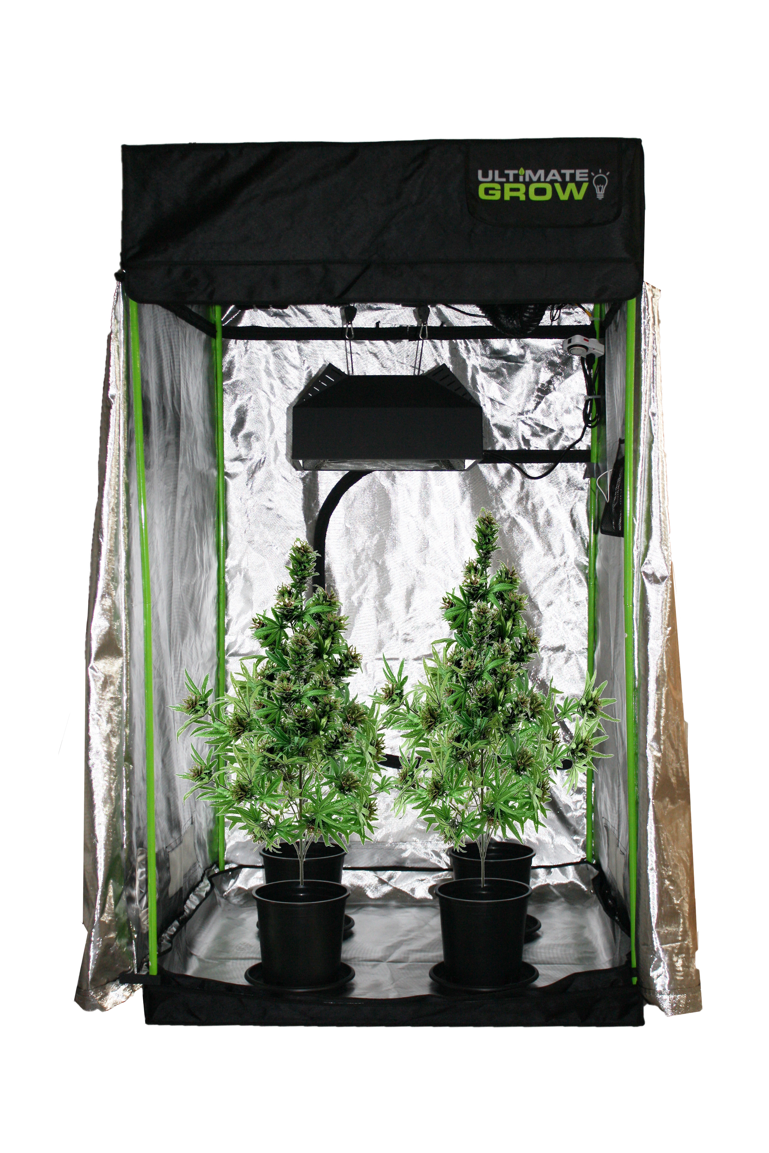 growtentplants