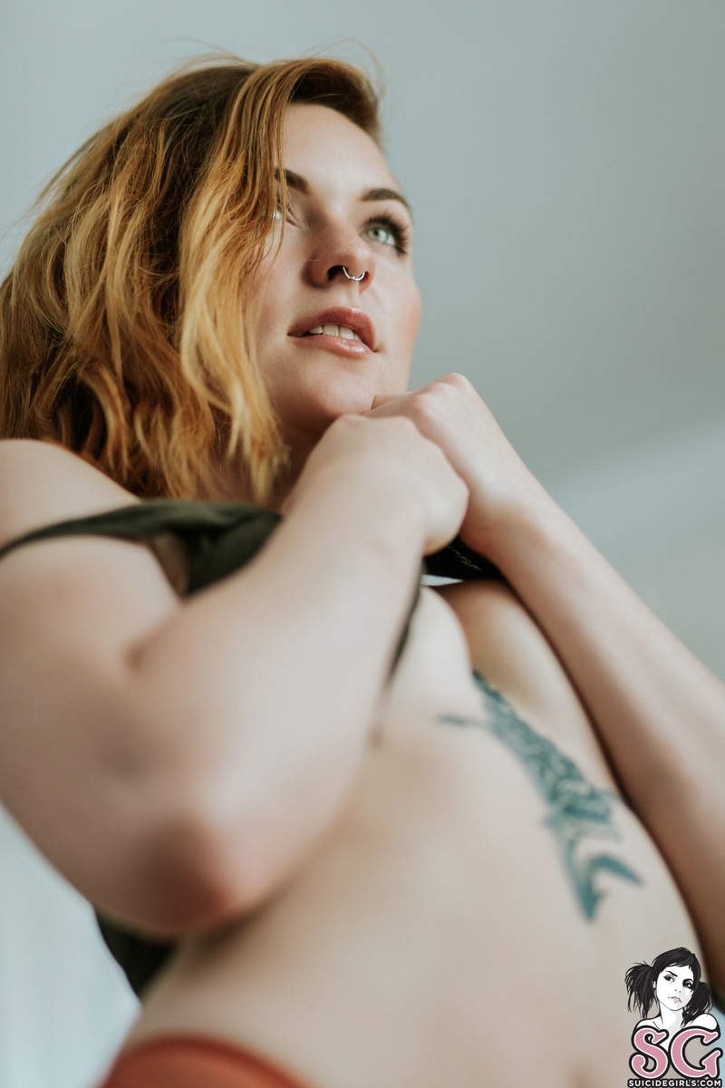 torro-pastel-09.jpg