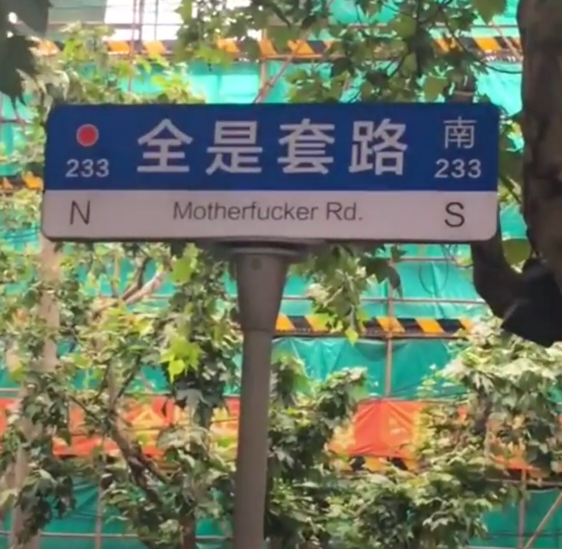 file.jpg