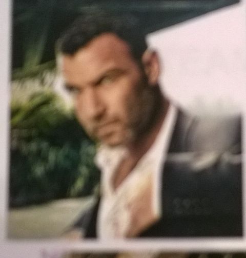 RIS.jpg