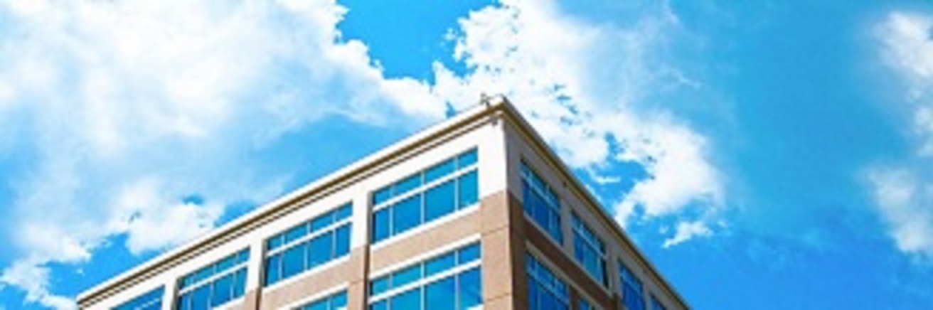 Stated Income Commercial Loans