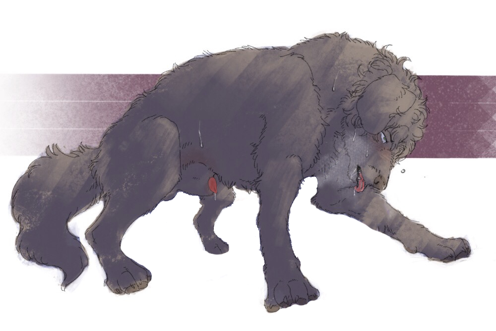 Dawg.png