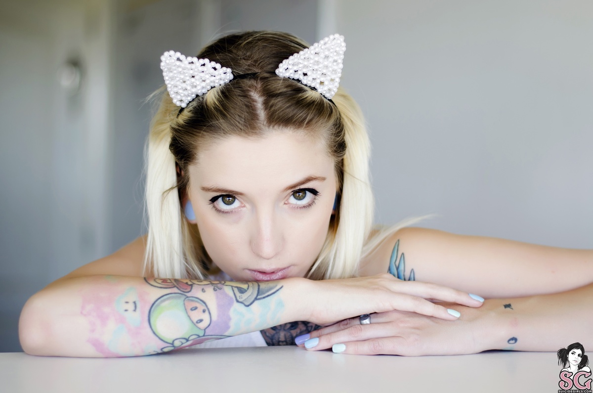 berenice-sleepykitten-01.jpg