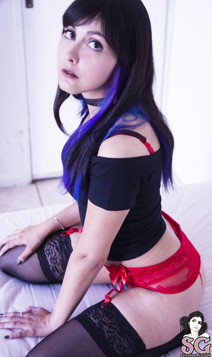 kittenblue-blackredbutterfly-03.jpg
