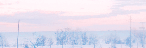ggoheader.png